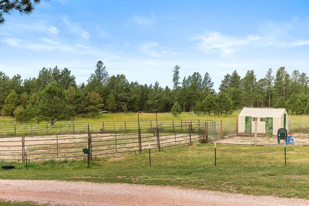 Papa'S Place On Willow Creek Custer Exterior foto
